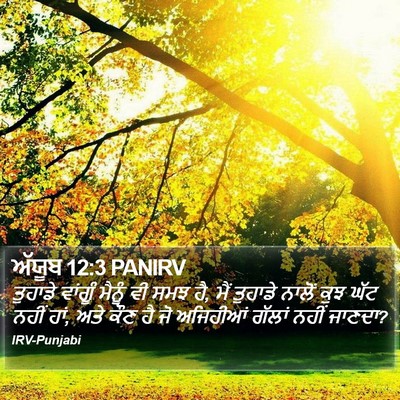 ਅੱਯੂਬ 12:3 PANIRV Bible Verse Image