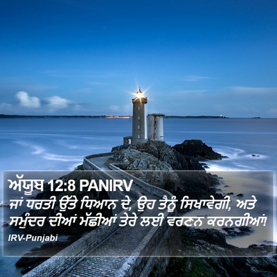 ਅੱਯੂਬ 12:8 PANIRV Bible Verse Image