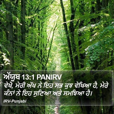 ਅੱਯੂਬ 13:1 PANIRV Bible Verse Image