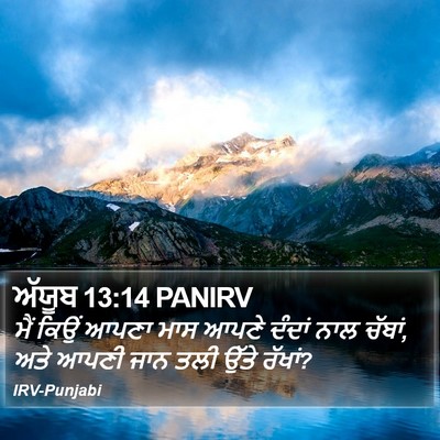 ਅੱਯੂਬ 13:14 PANIRV Bible Verse Image