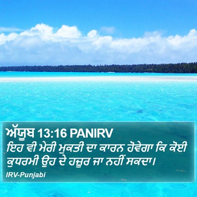 ਅੱਯੂਬ 13:16 PANIRV Bible Verse Image