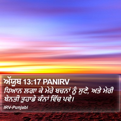ਅੱਯੂਬ 13:17 PANIRV Bible Verse Image