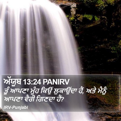 ਅੱਯੂਬ 13:24 PANIRV Bible Verse Image
