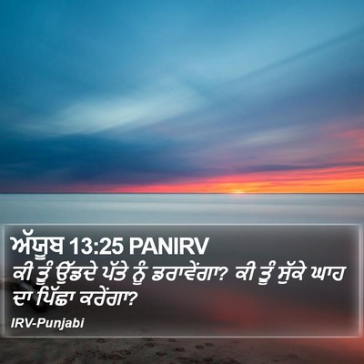 ਅੱਯੂਬ 13:25 PANIRV Bible Verse Image
