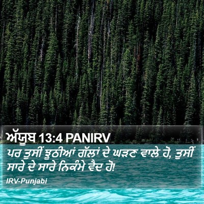 ਅੱਯੂਬ 13:4 PANIRV Bible Verse Image