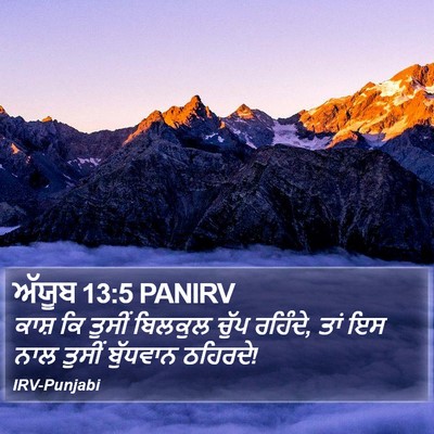 ਅੱਯੂਬ 13:5 PANIRV Bible Verse Image