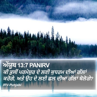 ਅੱਯੂਬ 13:7 PANIRV Bible Verse Image