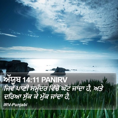 ਅੱਯੂਬ 14:11 PANIRV Bible Verse Image