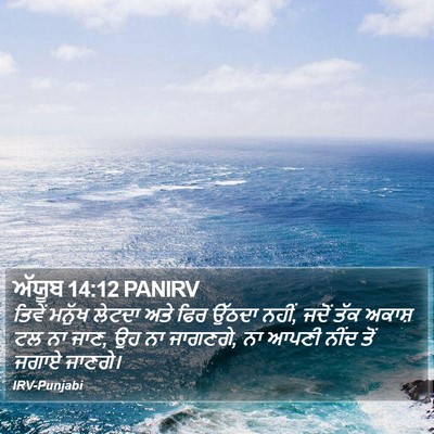 ਅੱਯੂਬ 14:12 PANIRV Bible Verse Image
