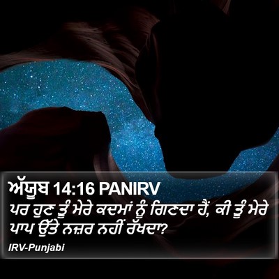 ਅੱਯੂਬ 14:16 PANIRV Bible Verse Image
