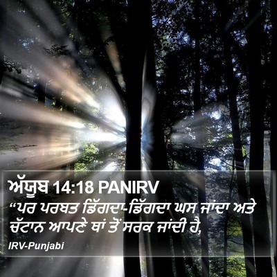 ਅੱਯੂਬ 14:18 PANIRV Bible Verse Image