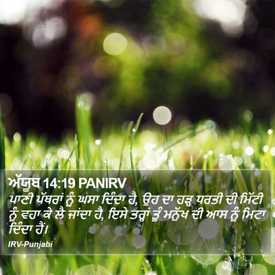 ਅੱਯੂਬ 14:19 PANIRV Bible Verse Image