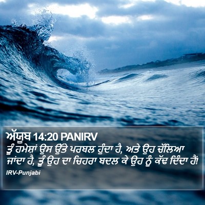 ਅੱਯੂਬ 14:20 PANIRV Bible Verse Image