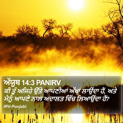 ਅੱਯੂਬ 14:3 PANIRV Bible Verse Image