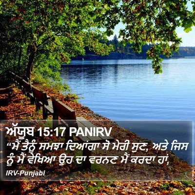 ਅੱਯੂਬ 15:17 PANIRV Bible Verse Image