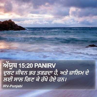 ਅੱਯੂਬ 15:20 PANIRV Bible Verse Image