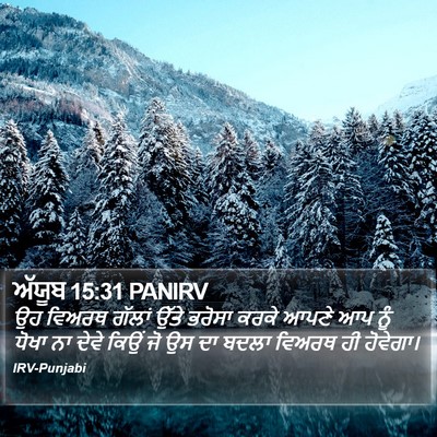 ਅੱਯੂਬ 15:31 PANIRV Bible Verse Image