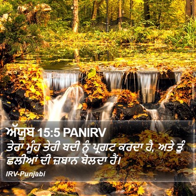 ਅੱਯੂਬ 15:5 PANIRV Bible Verse Image
