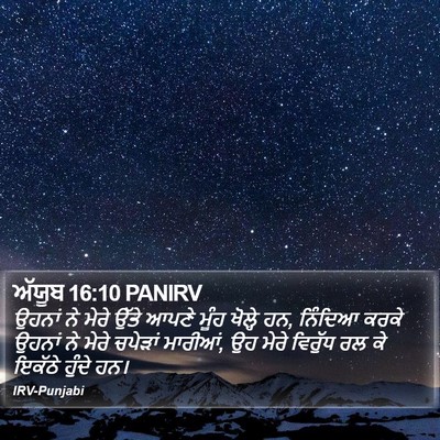 ਅੱਯੂਬ 16:10 PANIRV Bible Verse Image