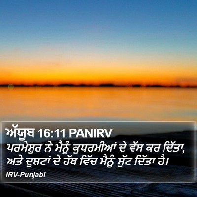 ਅੱਯੂਬ 16:11 PANIRV Bible Verse Image