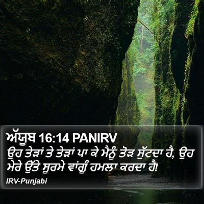 ਅੱਯੂਬ 16:14 PANIRV Bible Verse Image