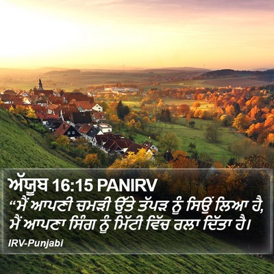 ਅੱਯੂਬ 16:15 PANIRV Bible Verse Image