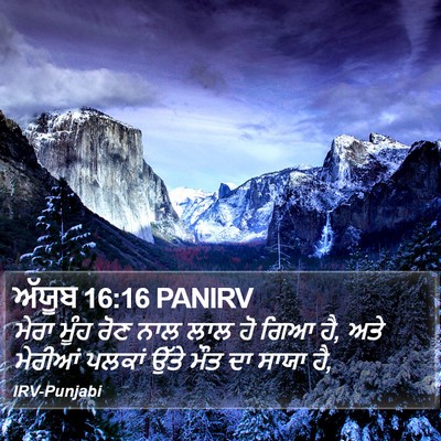 ਅੱਯੂਬ 16:16 PANIRV Bible Verse Image