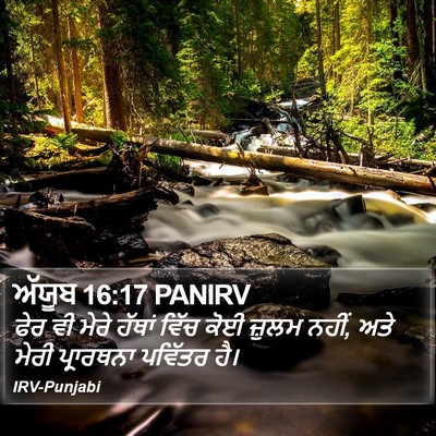ਅੱਯੂਬ 16:17 PANIRV Bible Verse Image