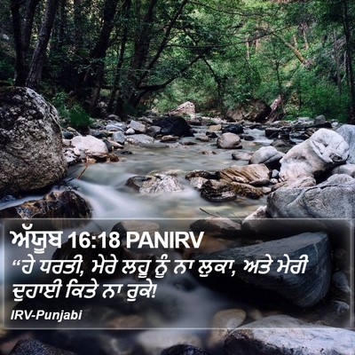 ਅੱਯੂਬ 16:18 PANIRV Bible Verse Image