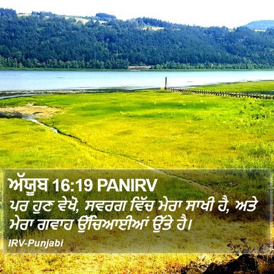 ਅੱਯੂਬ 16:19 PANIRV Bible Verse Image
