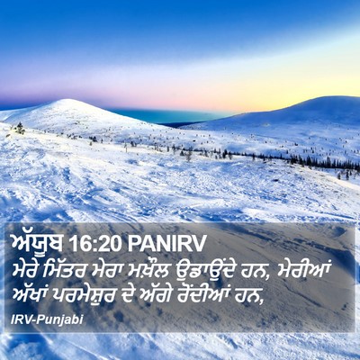 ਅੱਯੂਬ 16:20 PANIRV Bible Verse Image