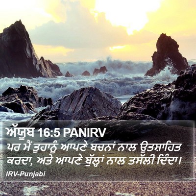 ਅੱਯੂਬ 16:5 PANIRV Bible Verse Image