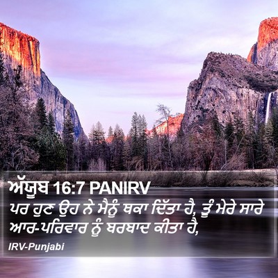 ਅੱਯੂਬ 16:7 PANIRV Bible Verse Image