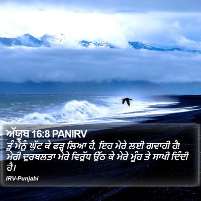ਅੱਯੂਬ 16:8 PANIRV Bible Verse Image