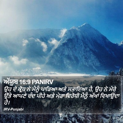 ਅੱਯੂਬ 16:9 PANIRV Bible Verse Image