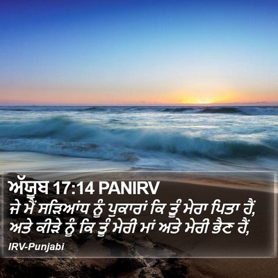 ਅੱਯੂਬ 17:14 PANIRV Bible Verse Image
