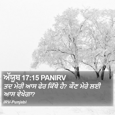 ਅੱਯੂਬ 17:15 PANIRV Bible Verse Image