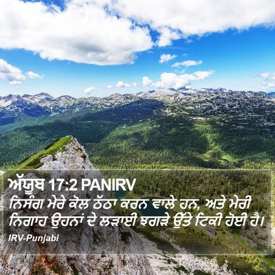ਅੱਯੂਬ 17:2 PANIRV Bible Verse Image