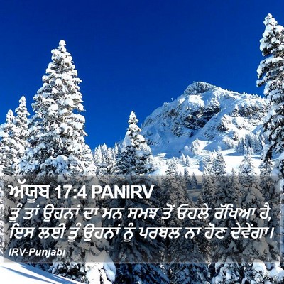 ਅੱਯੂਬ 17:4 PANIRV Bible Verse Image