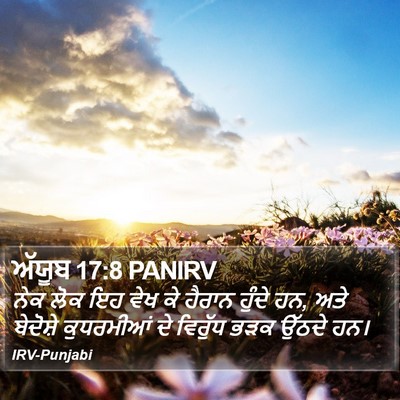ਅੱਯੂਬ 17:8 PANIRV Bible Verse Image