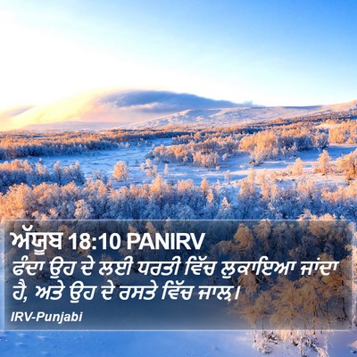 ਅੱਯੂਬ 18:10 PANIRV Bible Verse Image