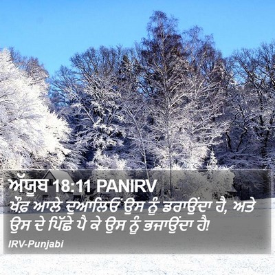 ਅੱਯੂਬ 18:11 PANIRV Bible Verse Image
