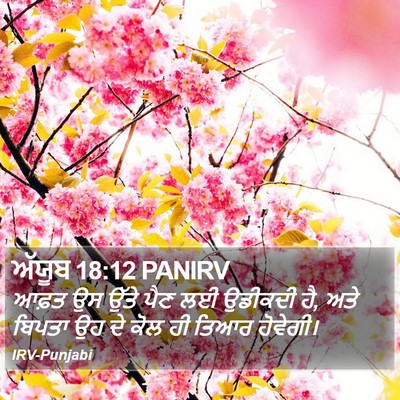 ਅੱਯੂਬ 18:12 PANIRV Bible Verse Image