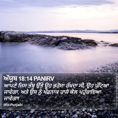 ਅੱਯੂਬ 18:14 PANIRV Bible Verse Image