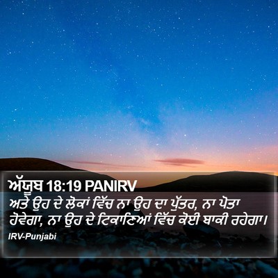 ਅੱਯੂਬ 18:19 PANIRV Bible Verse Image