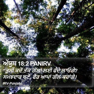 ਅੱਯੂਬ 18:2 PANIRV Bible Verse Image
