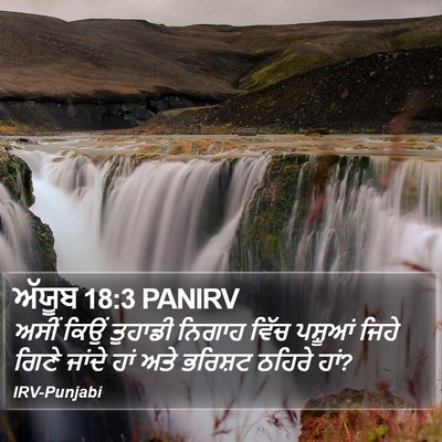 ਅੱਯੂਬ 18:3 PANIRV Bible Verse Image