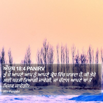 ਅੱਯੂਬ 18:4 PANIRV Bible Verse Image