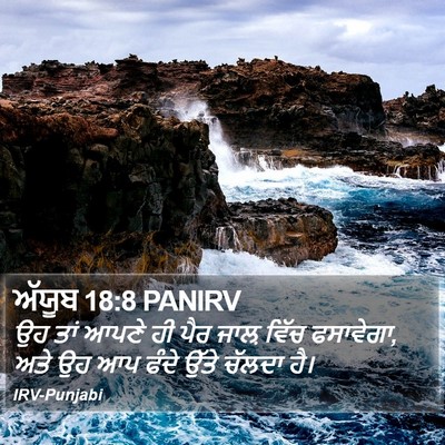 ਅੱਯੂਬ 18:8 PANIRV Bible Verse Image