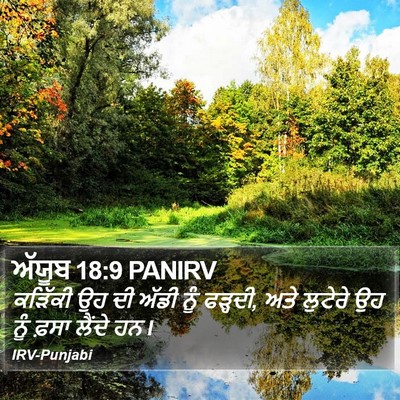 ਅੱਯੂਬ 18:9 PANIRV Bible Verse Image